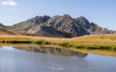 Randonnée au Lac Néal et les 5 lacs du Plateau