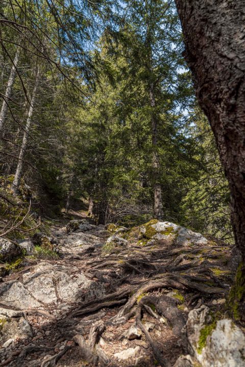 Randonnée le Pas du Roc à Thorens-Glières en Haute-Savoie