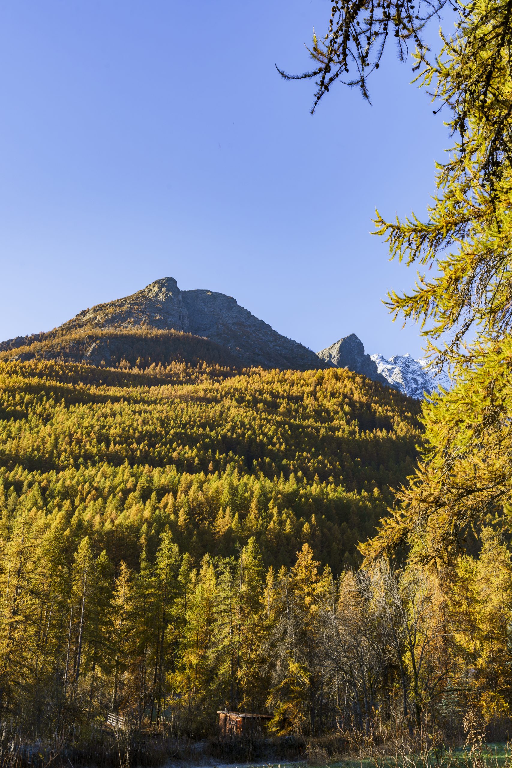 Lac de la Douche et lacs d'Arsine-6