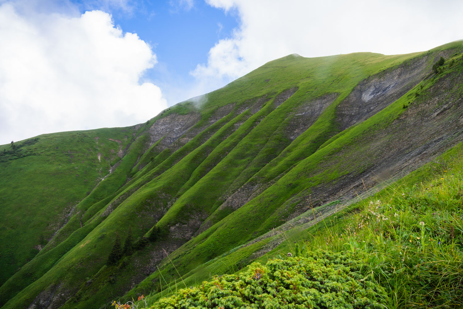 Randonnée à la Pointe de Marcelly et au Lac de Roy