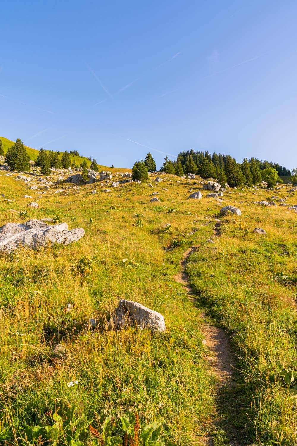 Randonnée de La Pointe d’Arcalod, Le Mont de La Coche et Tré le Mollard-11