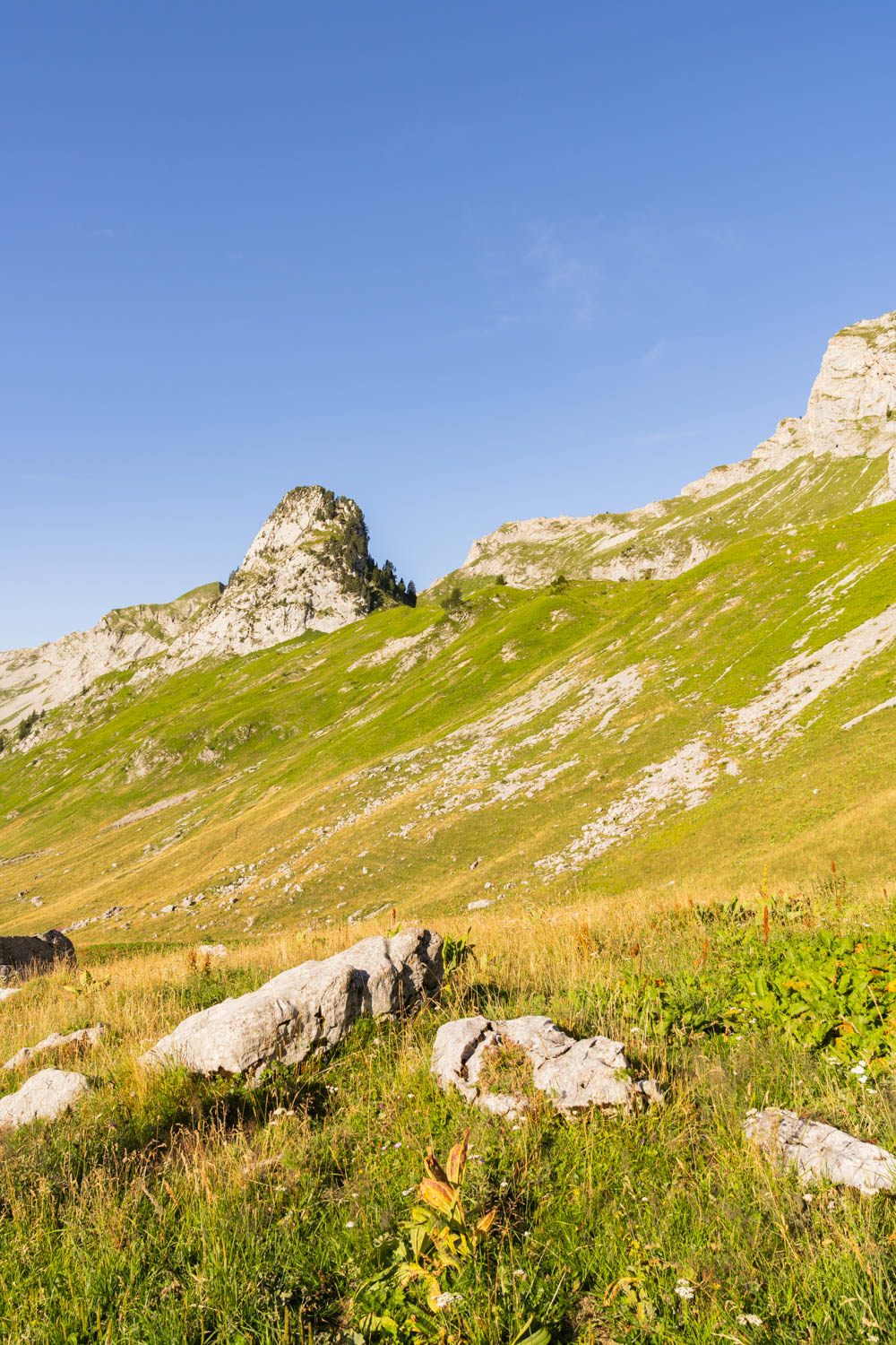 Randonnée de La Pointe d’Arcalod, Le Mont de La Coche et Tré le Mollard-12