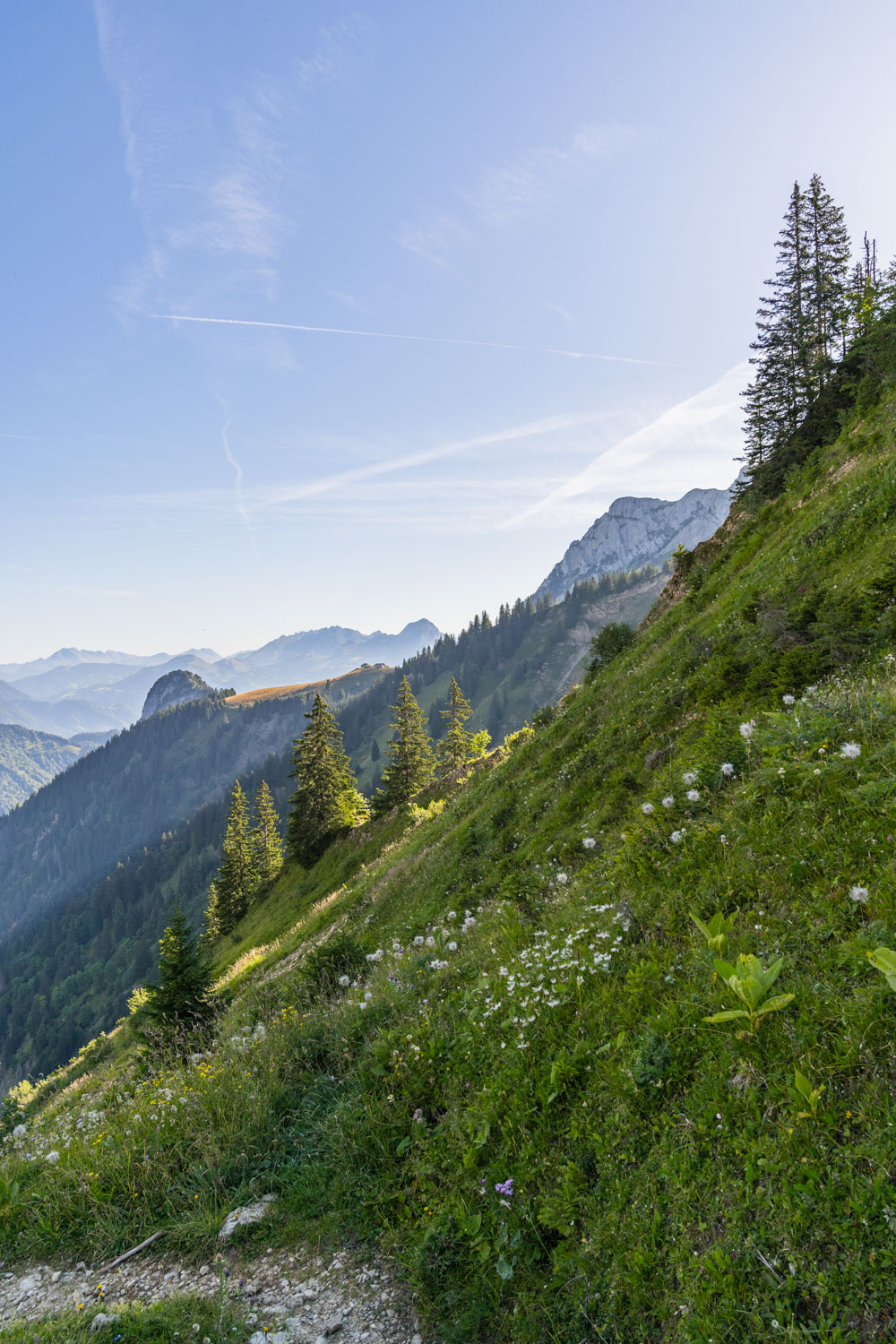 Randonnée de La Pointe d’Arcalod, Le Mont de La Coche et Tré le Mollard-13