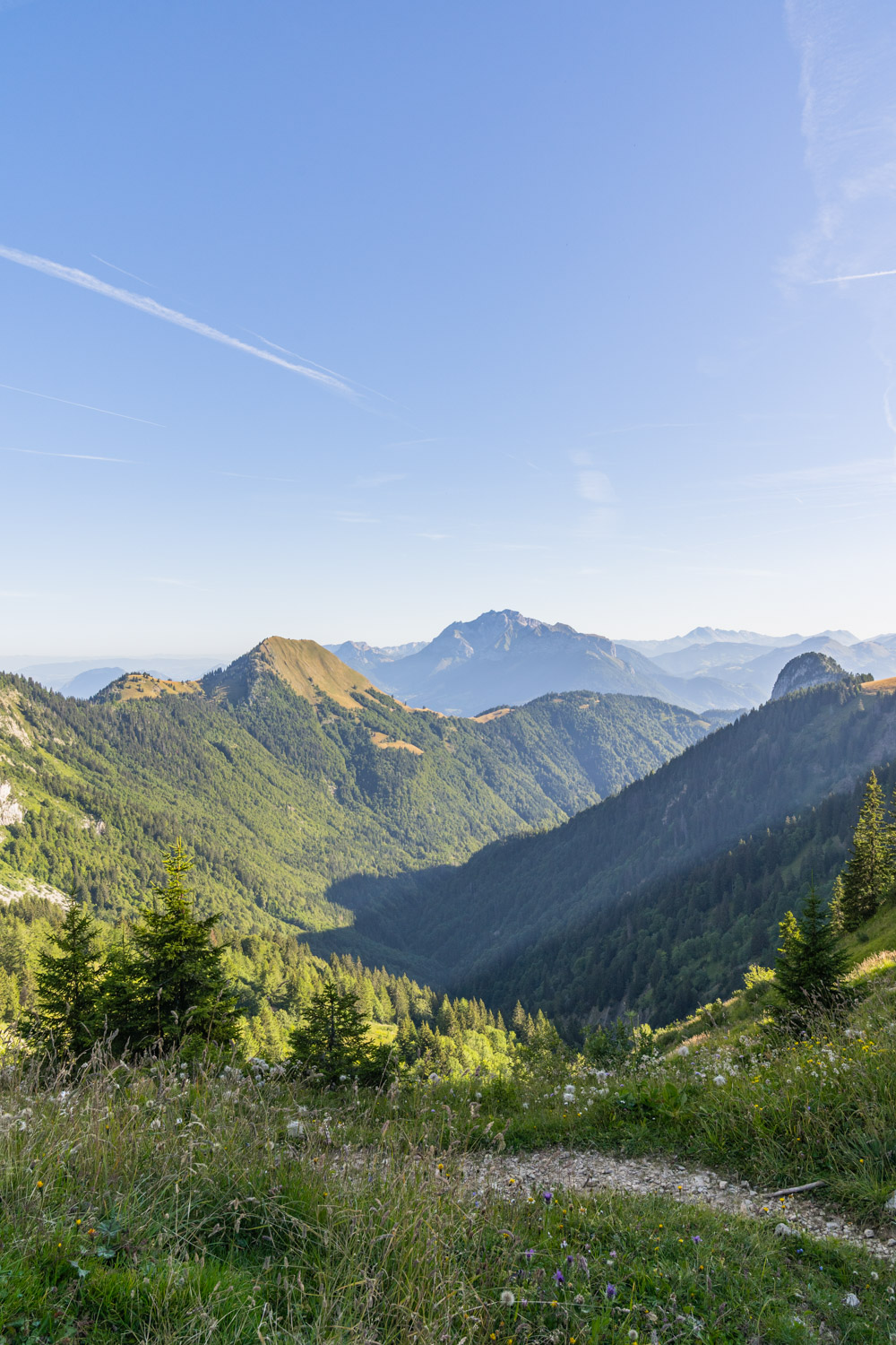 Randonnée de La Pointe d’Arcalod, Le Mont de La Coche et Tré le Mollard-15