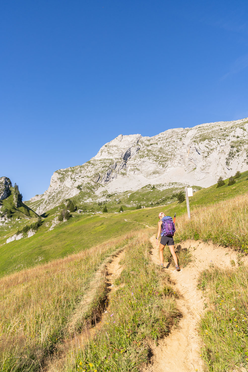 Randonnée de La Pointe d’Arcalod, Le Mont de La Coche et Tré le Mollard-16