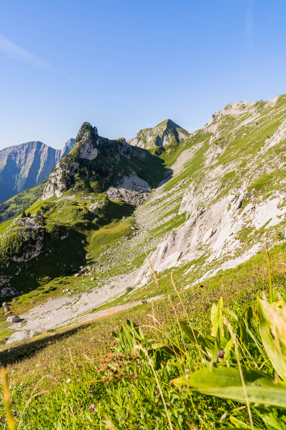 Randonnée de La Pointe d’Arcalod, Le Mont de La Coche et Tré le Mollard-20