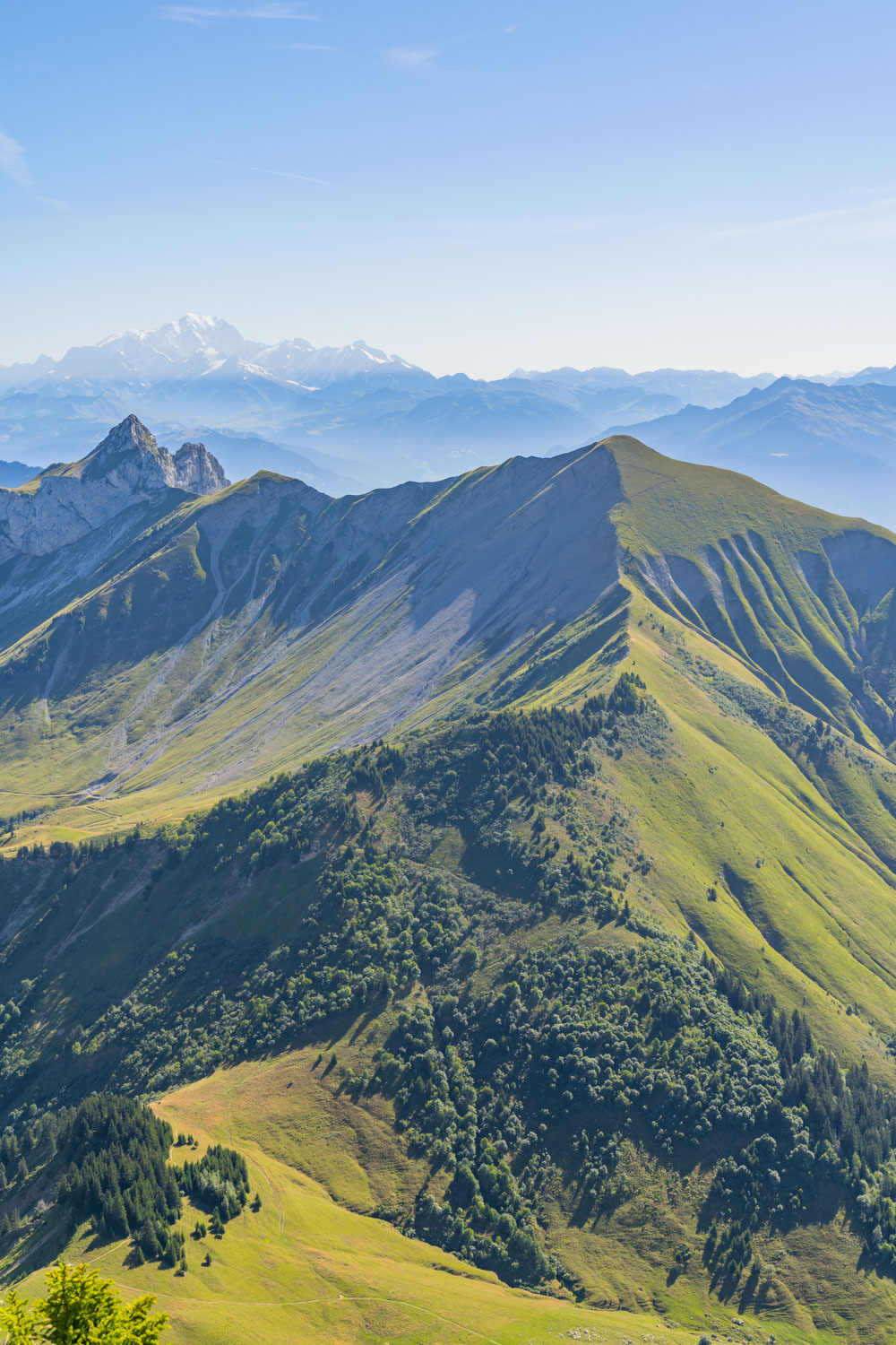 Randonnée de La Pointe d’Arcalod, Le Mont de La Coche et Tré le Mollard-29
