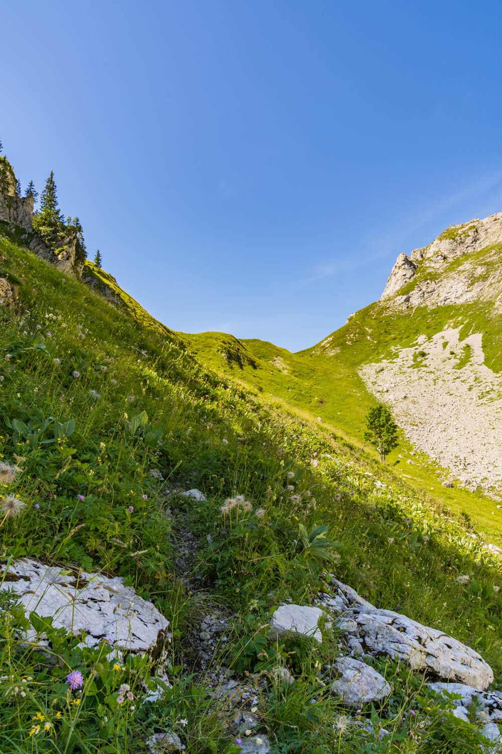 Randonnée de La Pointe d’Arcalod, Le Mont de La Coche et Tré le Mollard-37