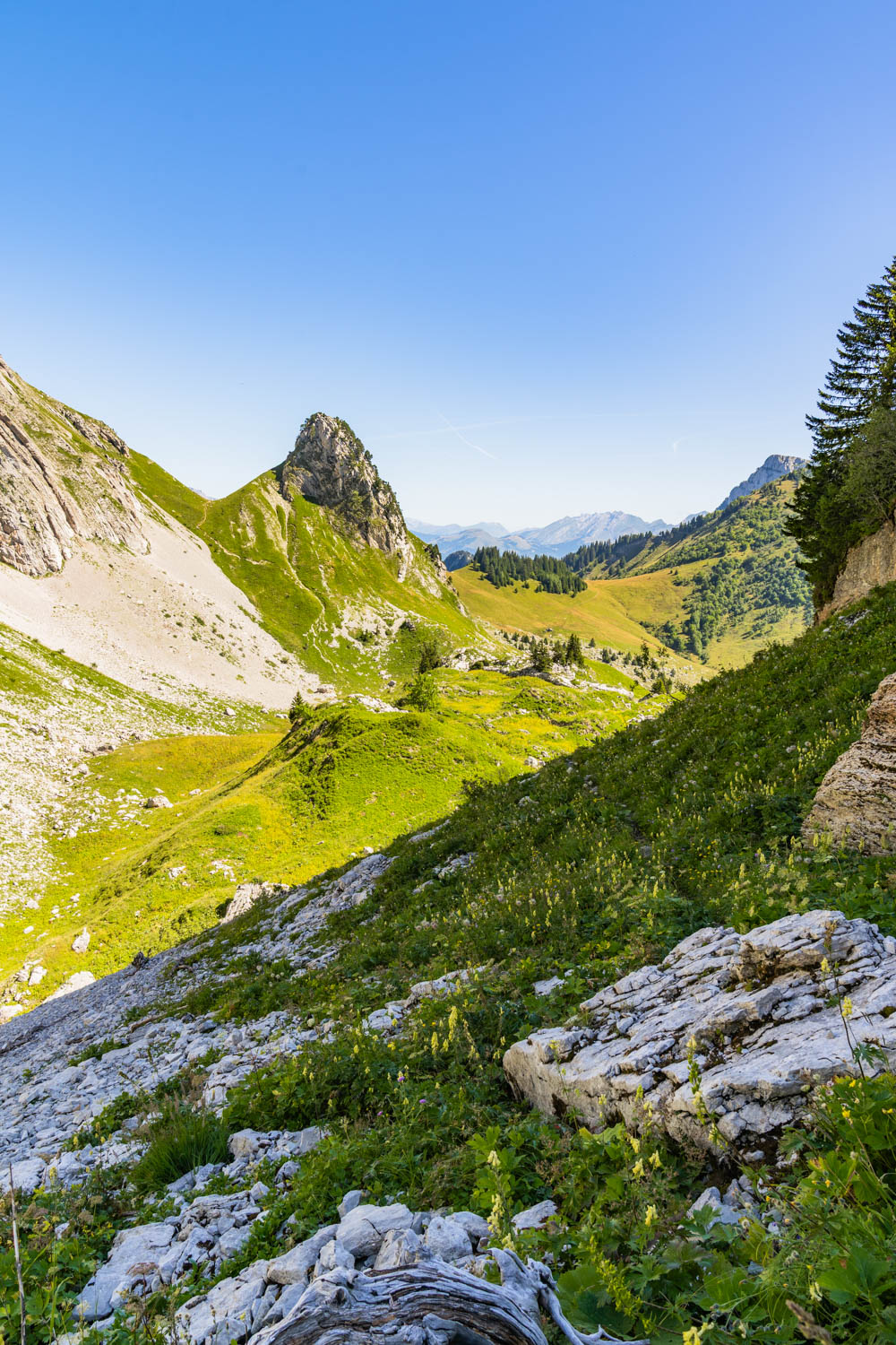 Randonnée de La Pointe d’Arcalod, Le Mont de La Coche et Tré le Mollard-38