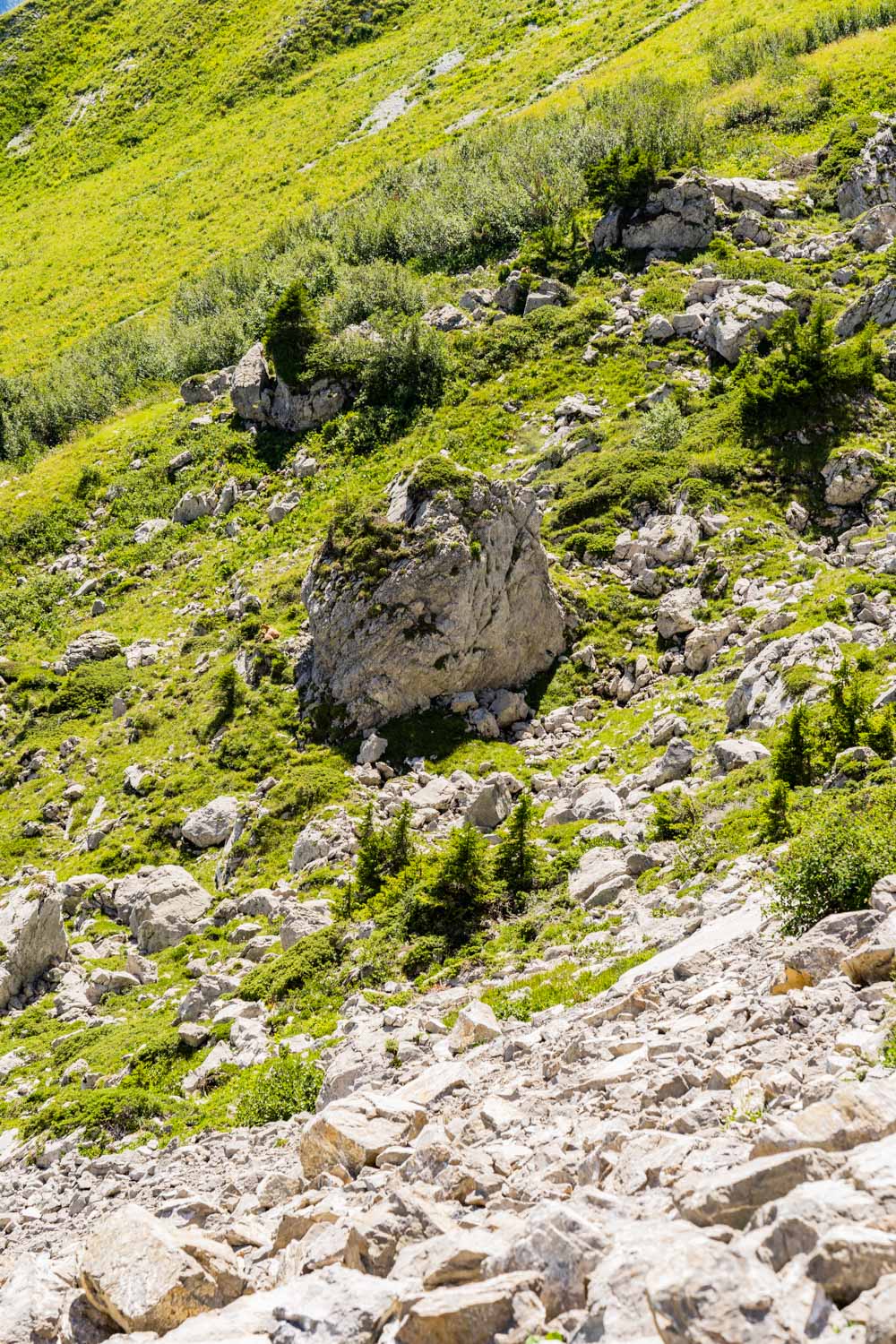 Randonnée de La Pointe d’Arcalod, Le Mont de La Coche et Tré le Mollard-42