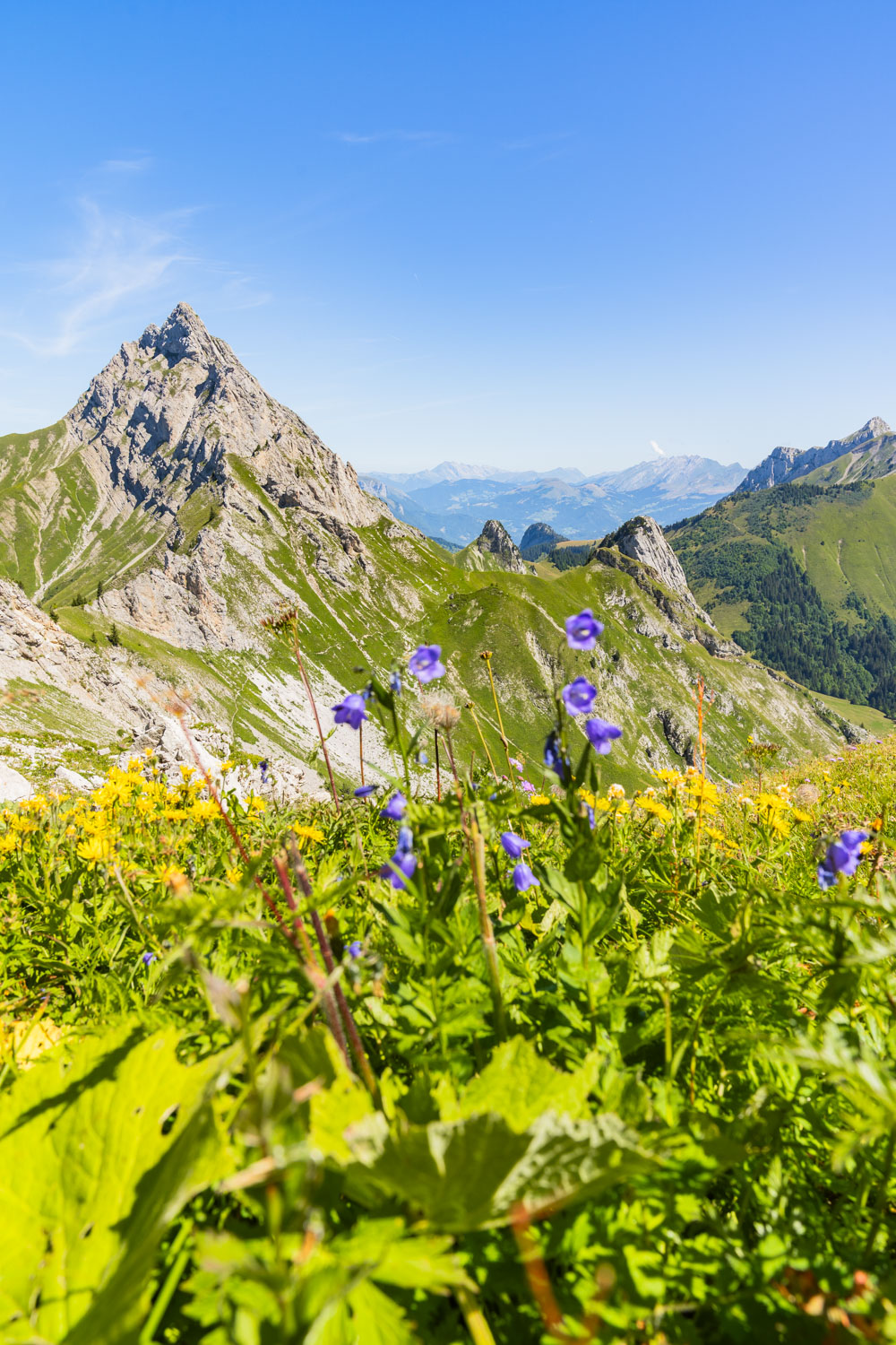 Randonnée de La Pointe d’Arcalod, Le Mont de La Coche et Tré le Mollard-44