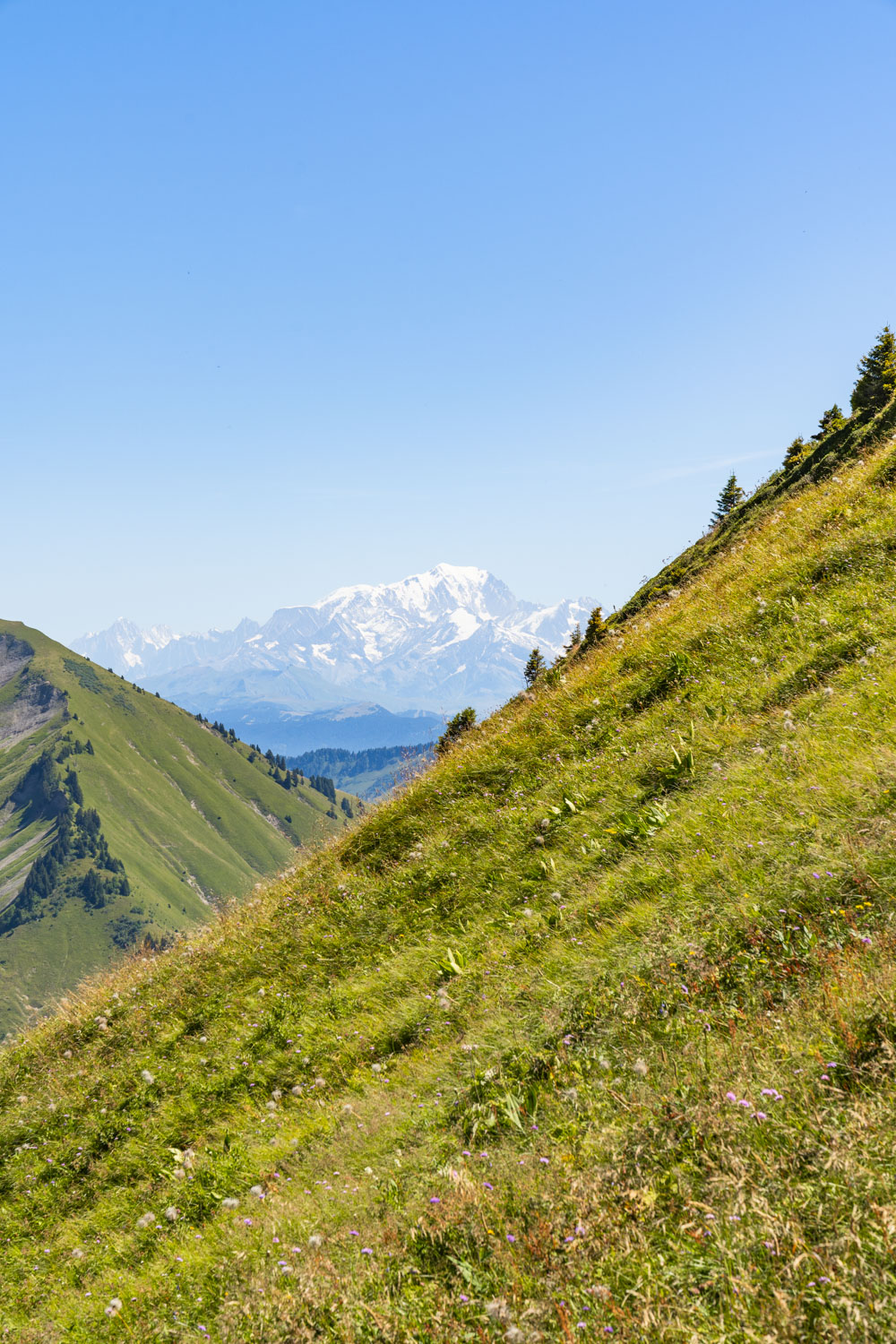 Randonnée de La Pointe d’Arcalod, Le Mont de La Coche et Tré le Mollard-48