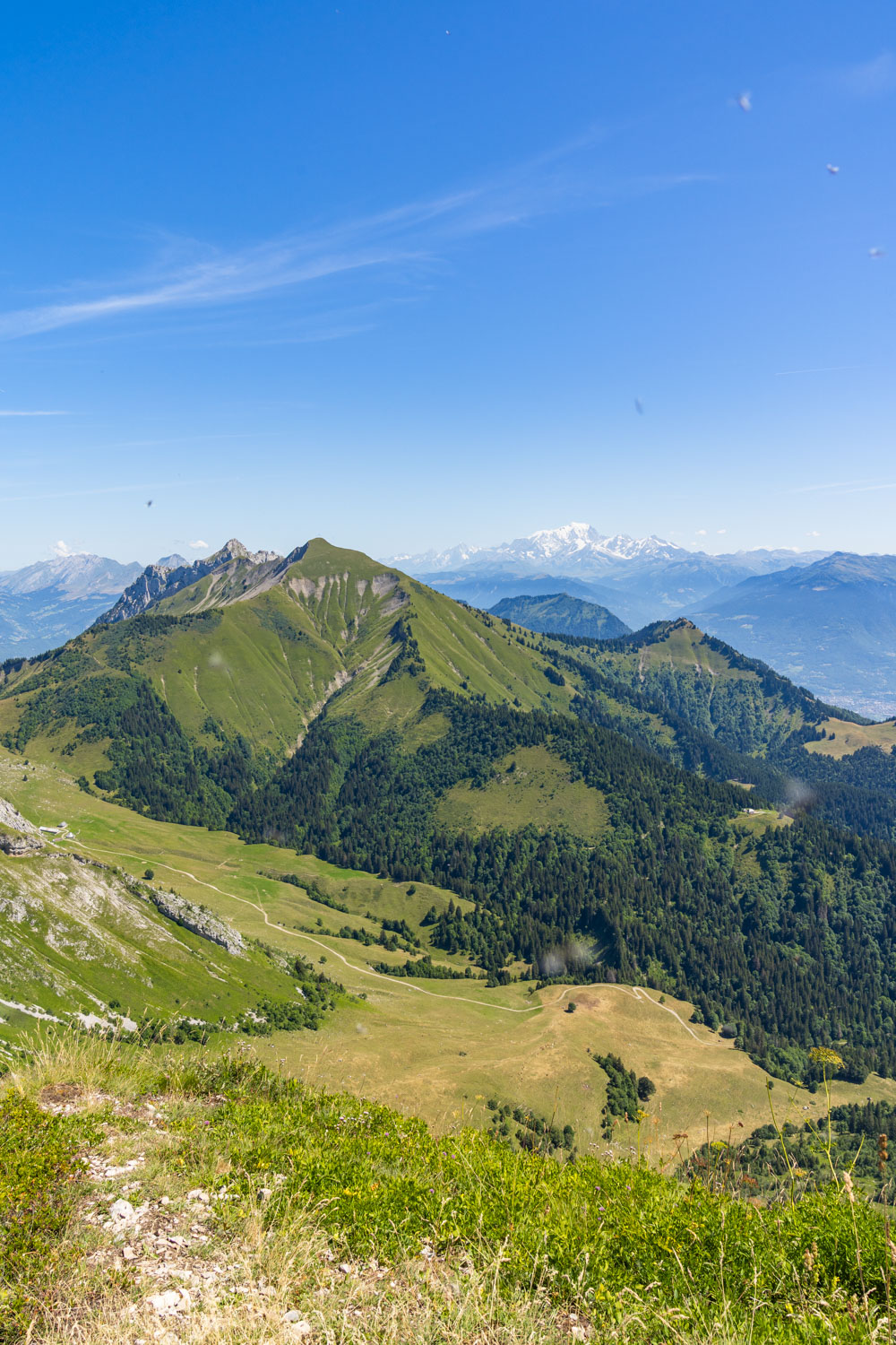 Randonnée de La Pointe d’Arcalod, Le Mont de La Coche et Tré le Mollard-54