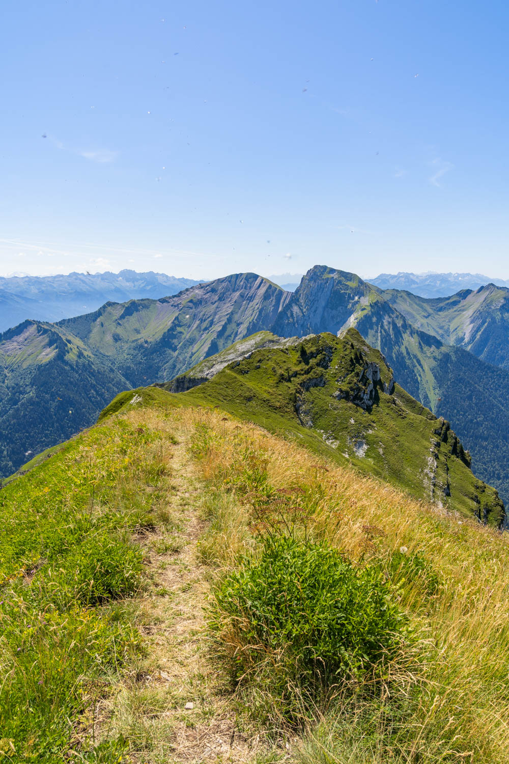 Randonnée de La Pointe d’Arcalod, Le Mont de La Coche et Tré le Mollard-55