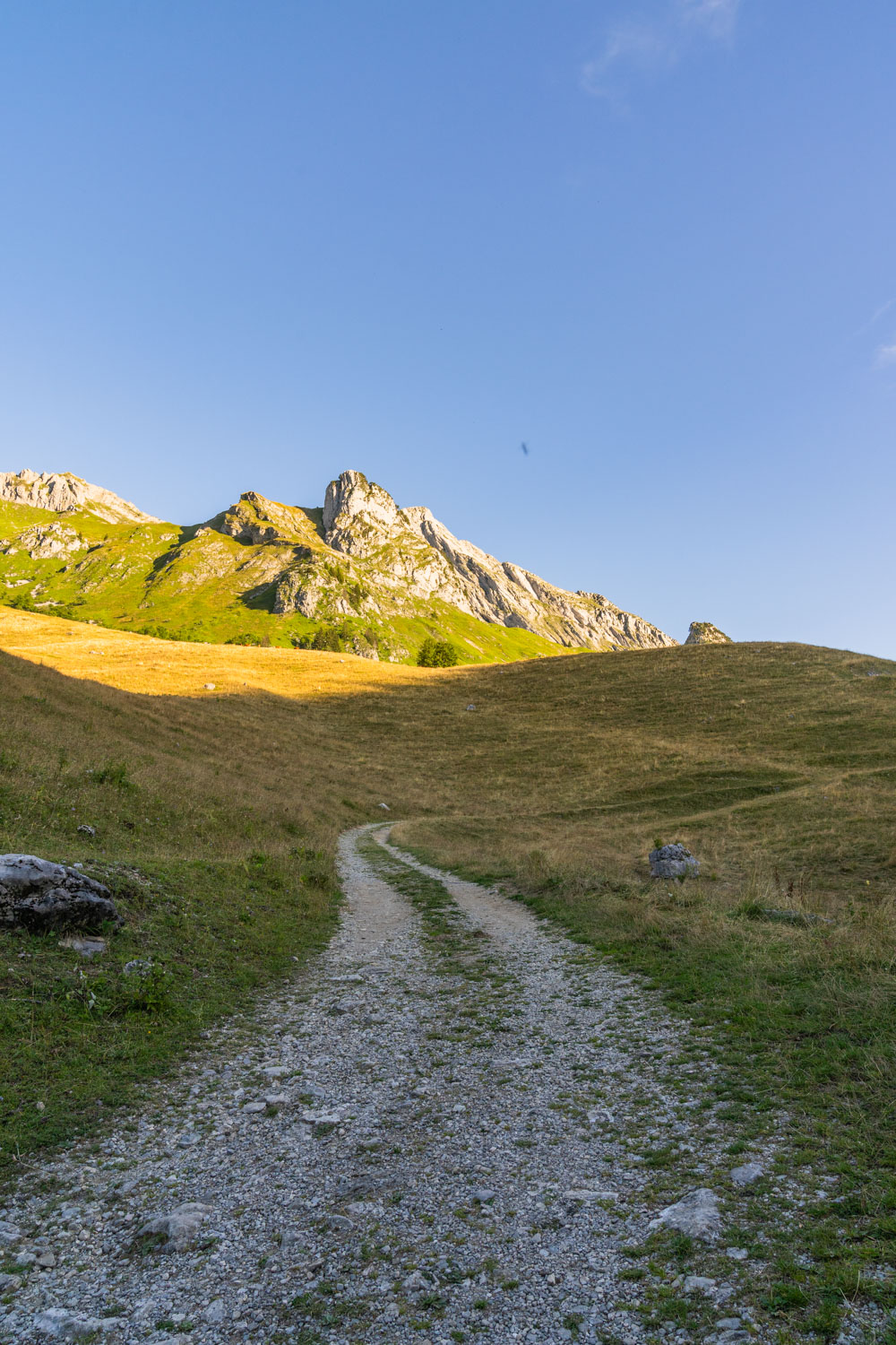 Randonnée de La Pointe d’Arcalod, Le Mont de La Coche et Tré le Mollard-6