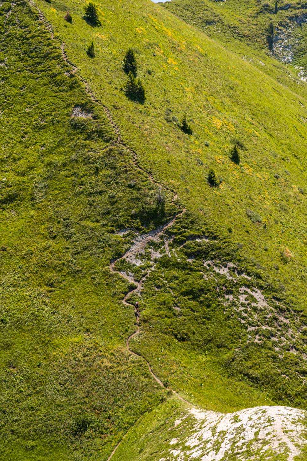 Randonnée de La Pointe d’Arcalod, Le Mont de La Coche et Tré le Mollard-72