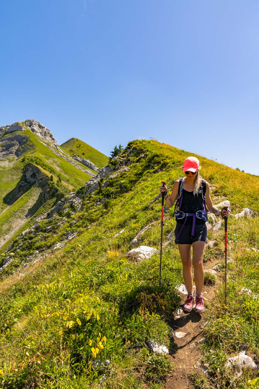 Randonnée de La Pointe d’Arcalod, Le Mont de La Coche et Tré le Mollard-75