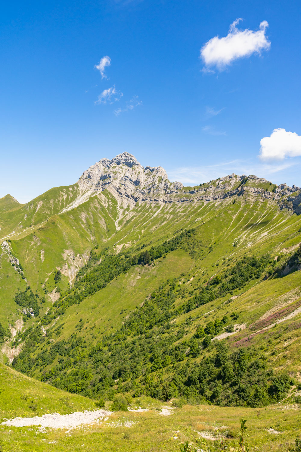Randonnée de La Pointe d’Arcalod, Le Mont de La Coche et Tré le Mollard-76