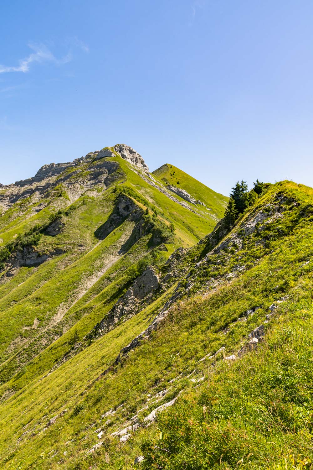 Randonnée de La Pointe d’Arcalod, Le Mont de La Coche et Tré le Mollard-78