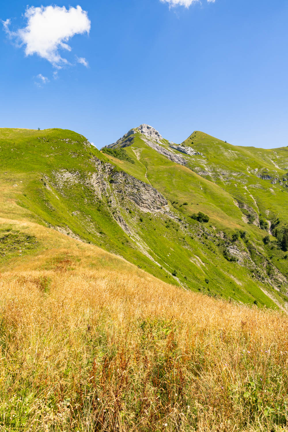 Randonnée de La Pointe d’Arcalod, Le Mont de La Coche et Tré le Mollard-79