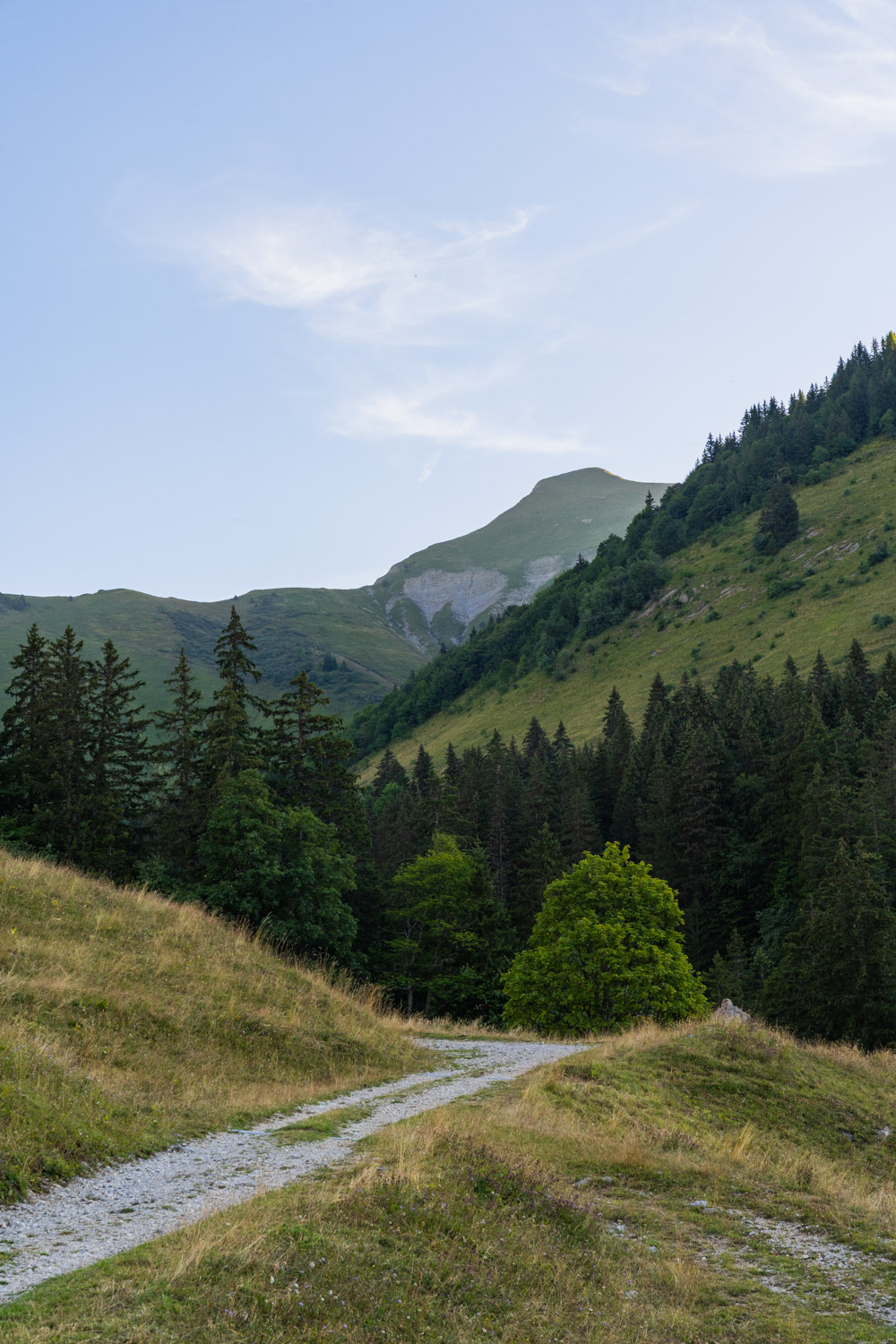 Randonnée de La Pointe d’Arcalod, Le Mont de La Coche et Tré le Mollard-8