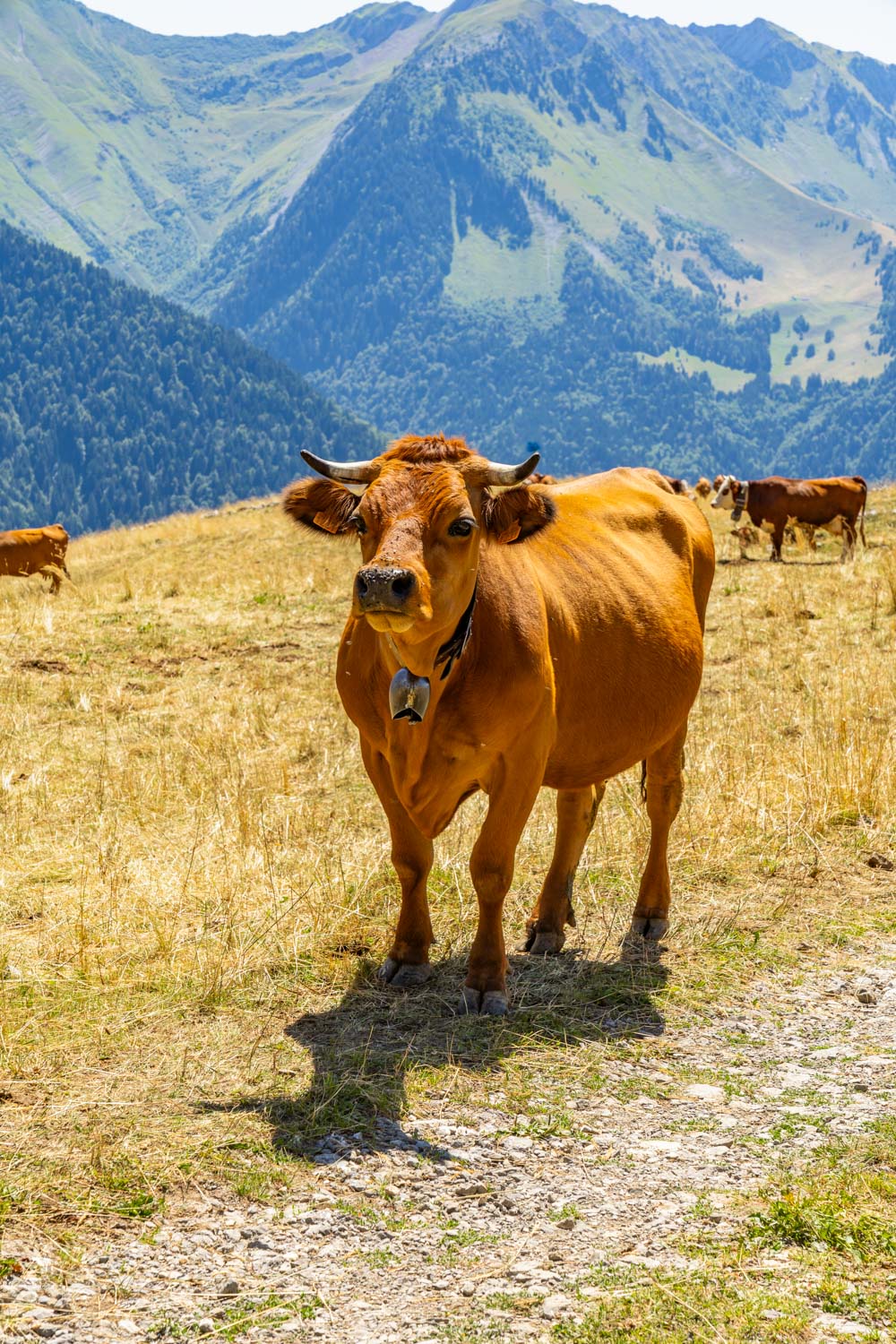 Randonnée de La Pointe d’Arcalod, Le Mont de La Coche et Tré le Mollard-80