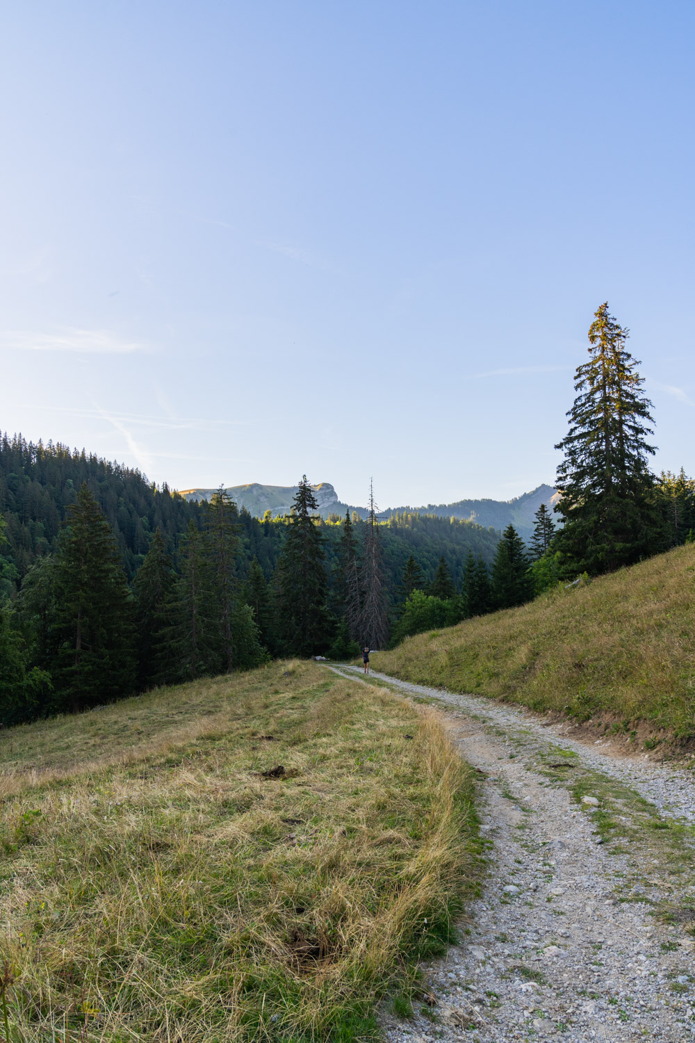 Randonnée de La Pointe d’Arcalod, Le Mont de La Coche et Tré le Mollard-9