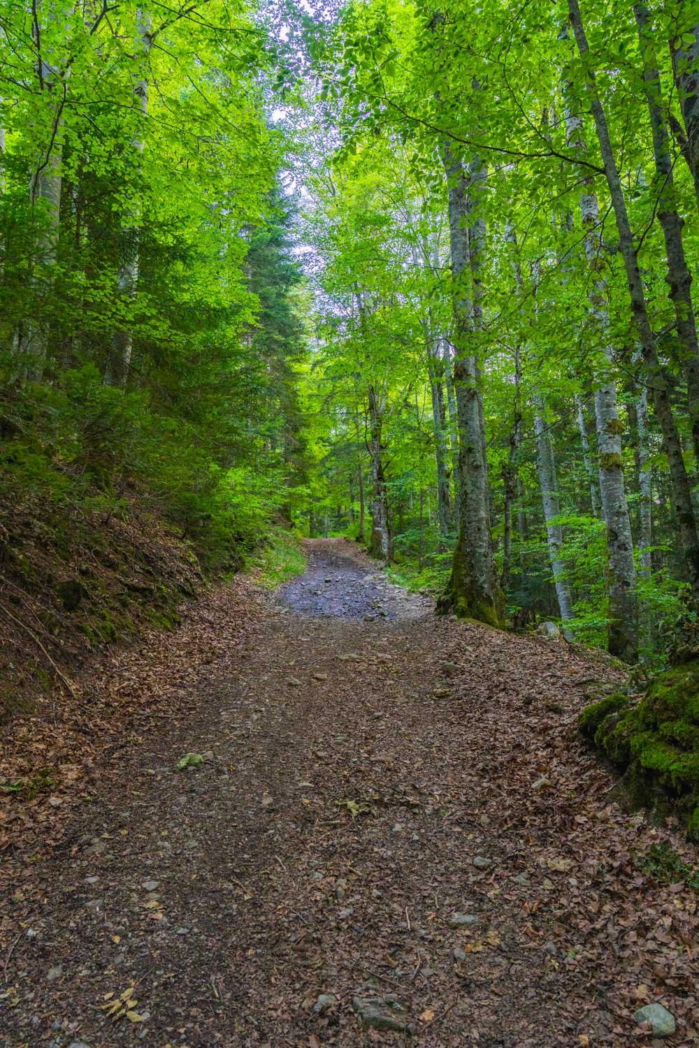 Randonnée de La Pointe d’Arcalod, Le Mont de La Coche et Tré le Mollard