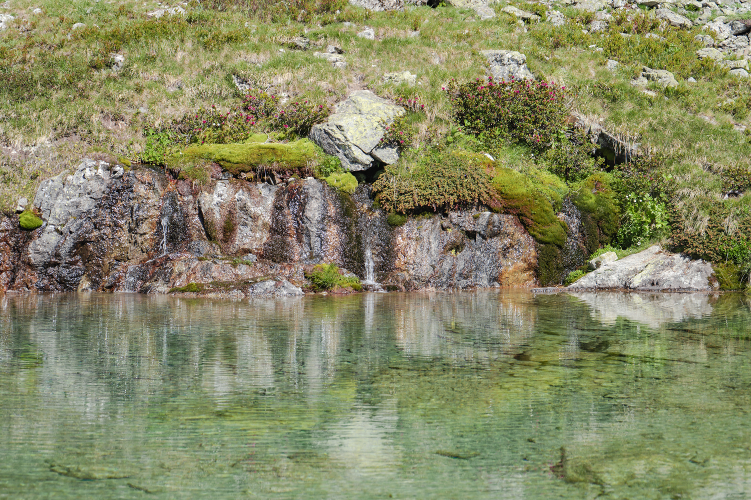 Lac du Lauzon-42
